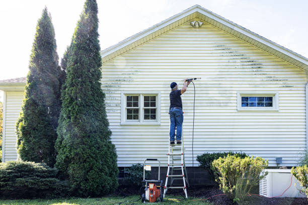 Best Roof Pressure Washing  in North Pole, AK